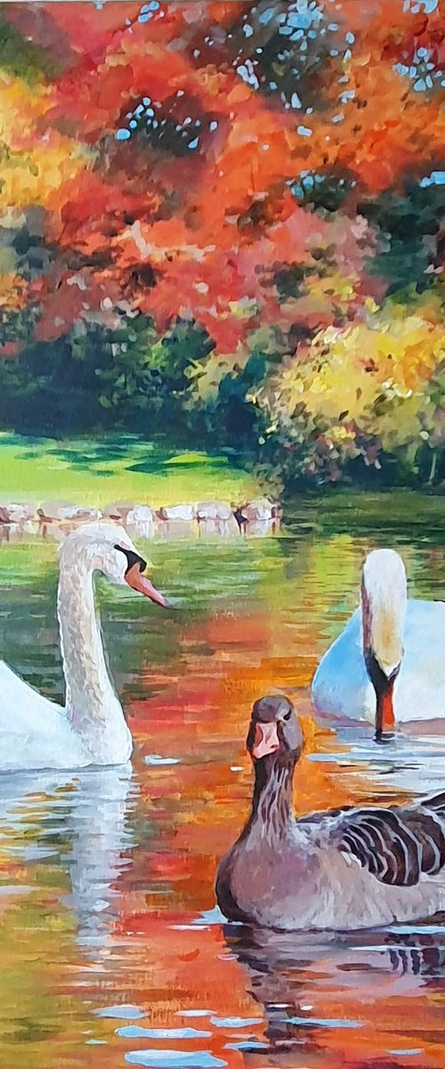 English Garden's swan autumn by Natasha Sokolnikova