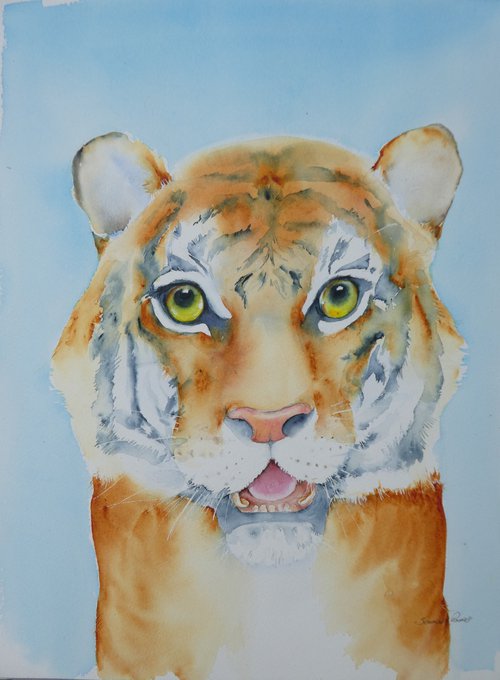 Tiger Balm by Seonaid Parnell