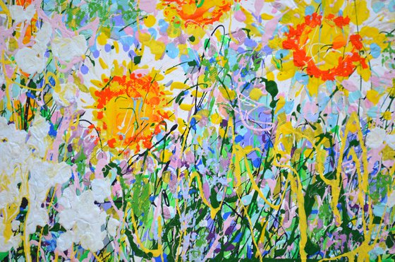 Daisy Blooms