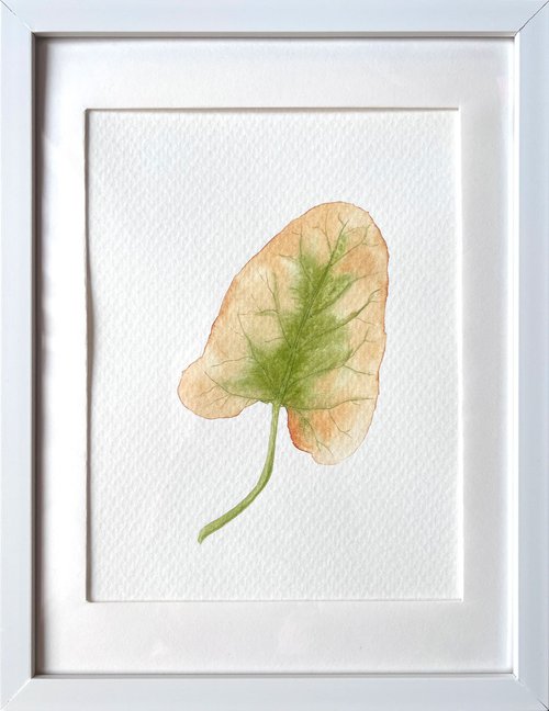 Autumn leaf Sketch #6 by Tetiana Kovalova
