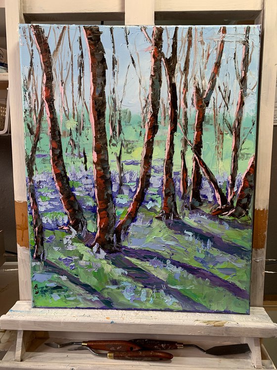 Blooming Bluebells, forest