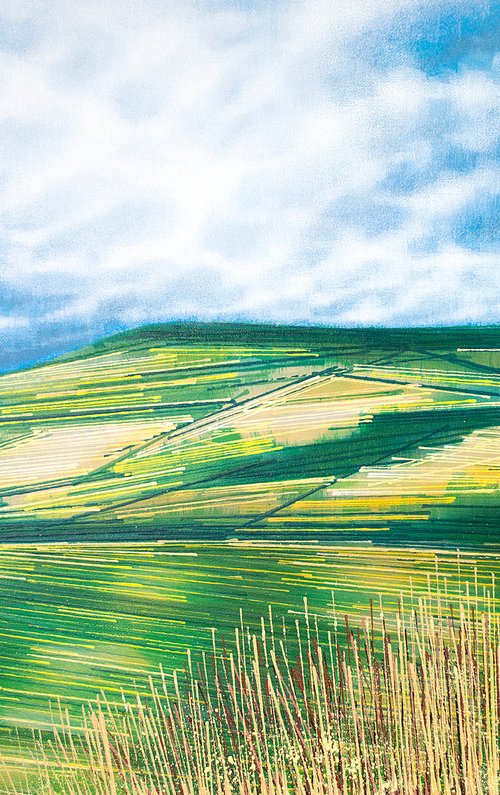 Devon Hills In Summer by Marc Todd