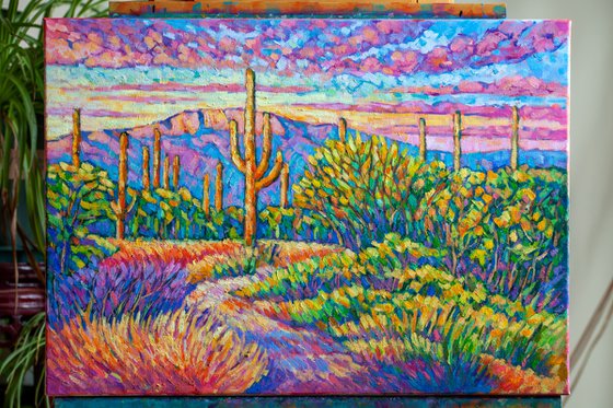 Saguaro Park Sunset