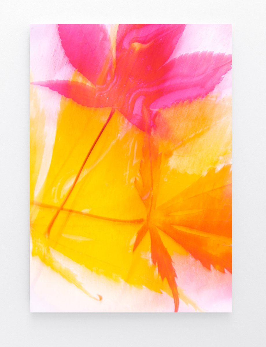 Hot Pink Abstract - LOLLIPOP by Lynne Douglas