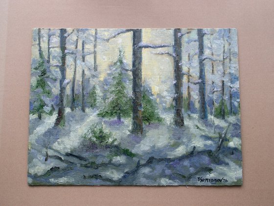 Landscape Winter Day