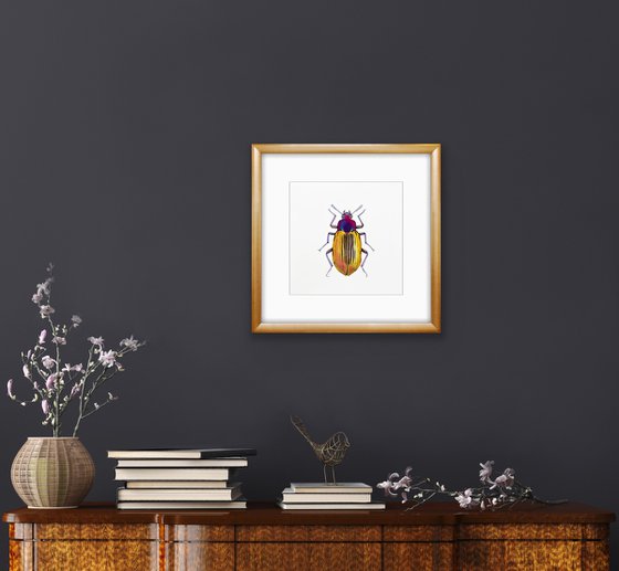 Golden beetle. Original watercolour artwork.