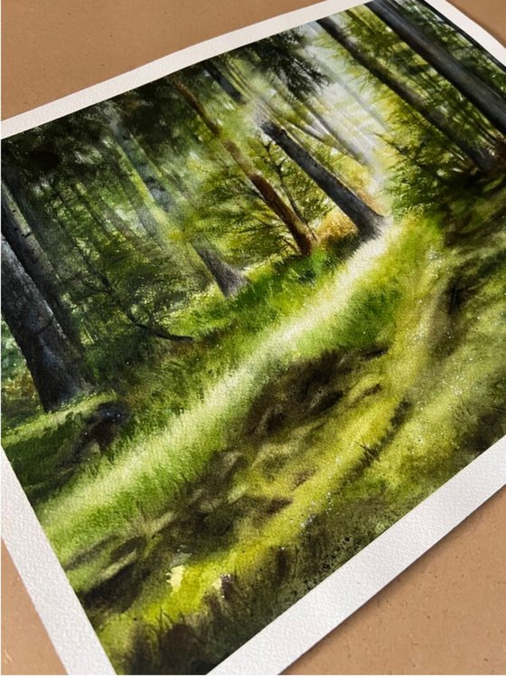 Forest Clearing