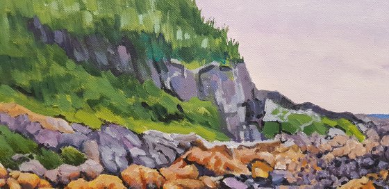 Porthdinllaen Cove
