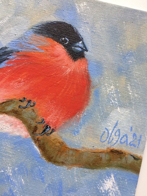 Bullfinch oil painting - Bird small canvas art - Christmas gift for bird lover (2021)