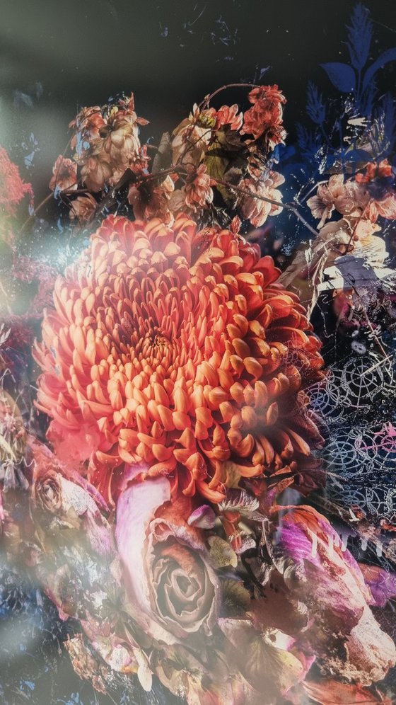 Bouquet xv  [Studio Clearance]