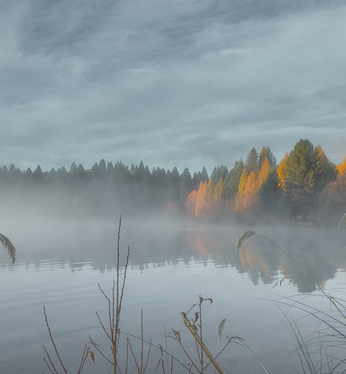 Awakening in Mist by Nick Psomiadis