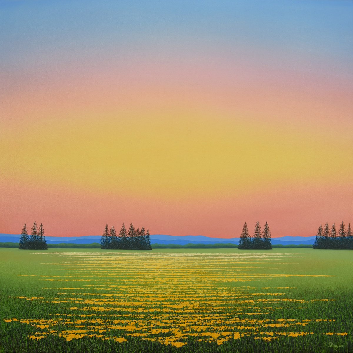 Impressionistic Landscape Oil Painting By Suzanne Vaughan, 30 X 30", Field Of Yellow Flowers, Original Artwork