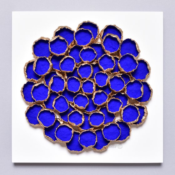 Bloom #30