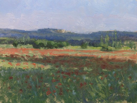 Poppies field near Roussillon