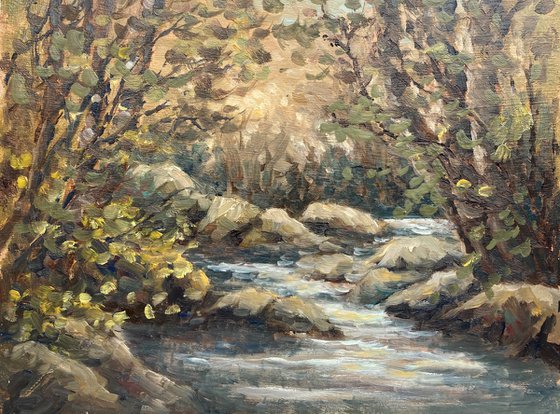 Colly Brook at Peter Tavy