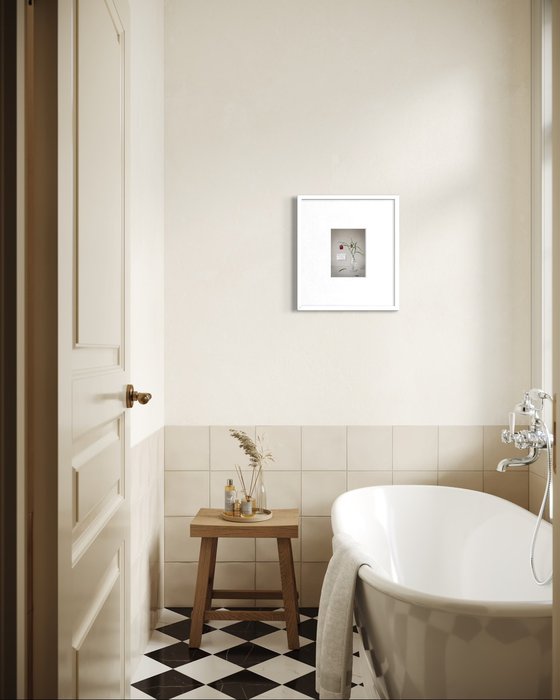 Fritillaria meleagris