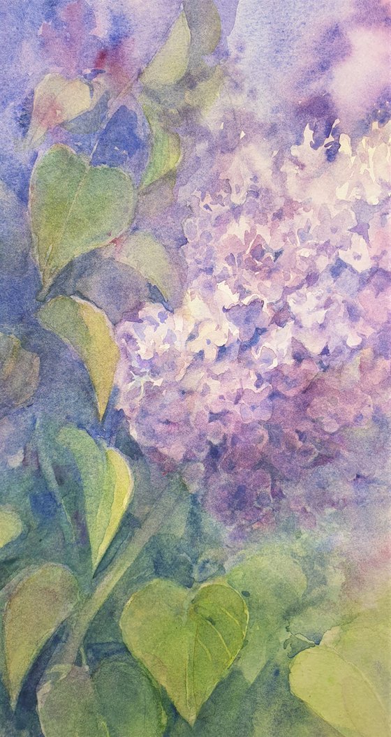 watercolour LILAC LILAC II flower painting 40x30/ 2020.021