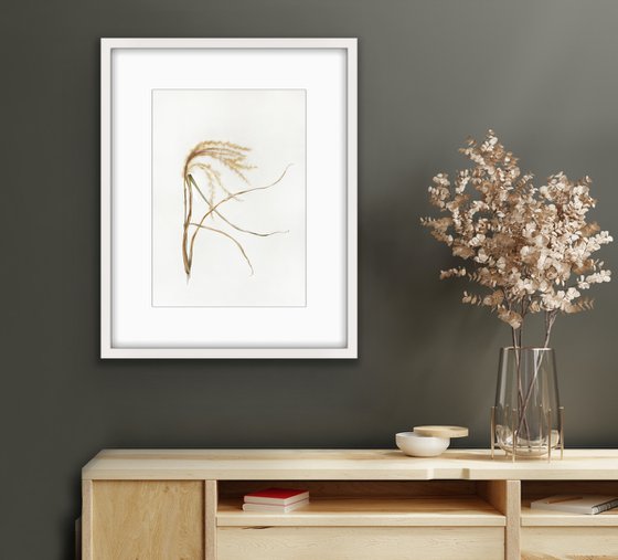 A dance in the wind. Original watercolor artwork.