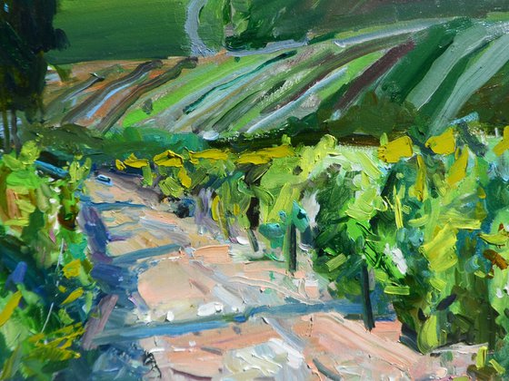"  Vineyards "