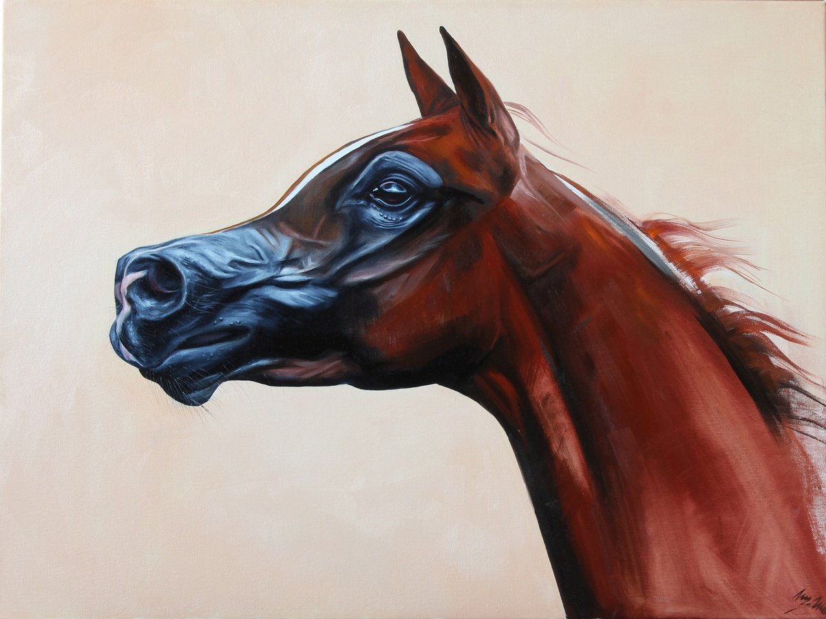 Photorealistic Animal Oil Painting By Marie Madej, 31 X 24", Arabian Horse, Original Artwork