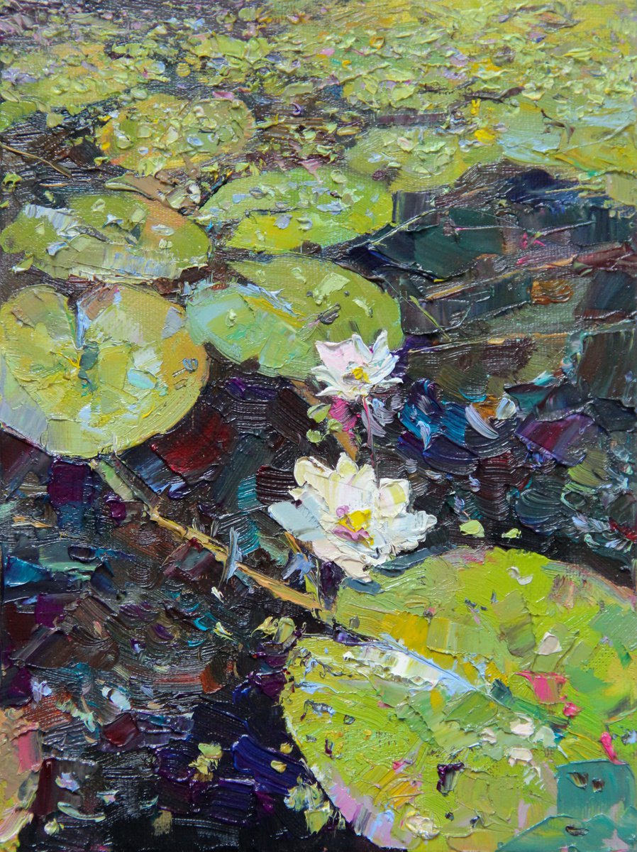 lily pond by Alina Shangina