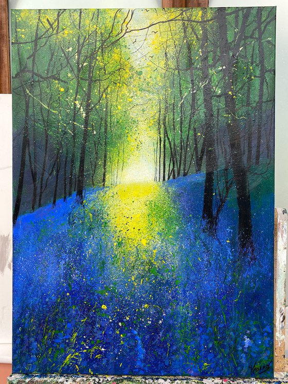 Spring, Light Across Bluebell Woodland