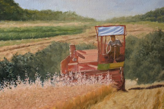 Harvest in Rabbit Slopes