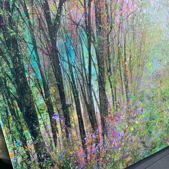 Rainbow Woodland