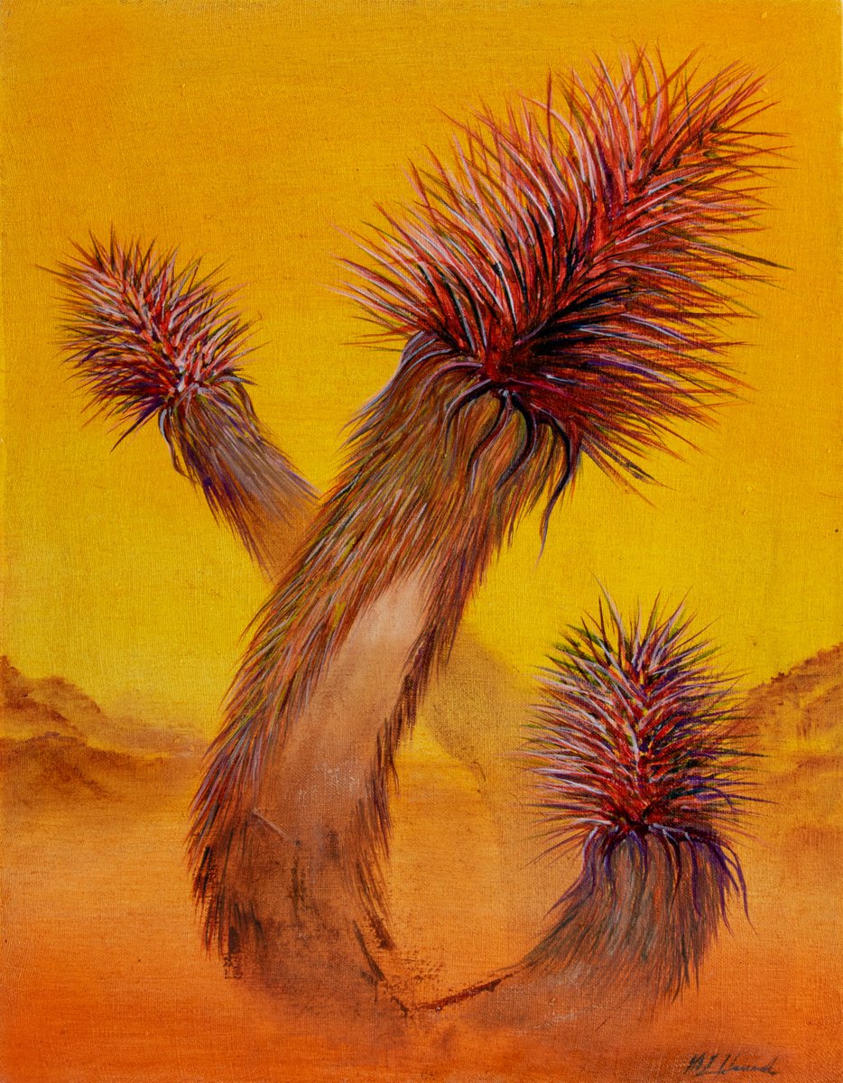 Joshua Tree in morning light 1 by Mark Hannah