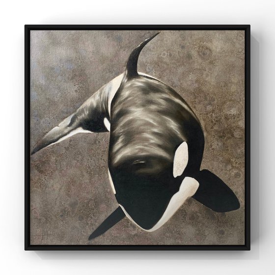 Orca