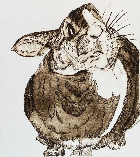 Fred - drypoint rabbit print