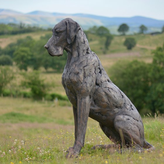 Great Dane Bronze Resin