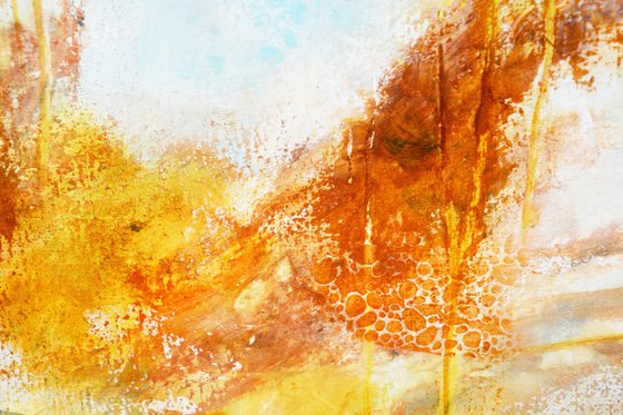 Atlas of a Disappearing World