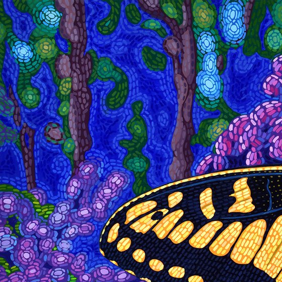 Anise Swallowtail