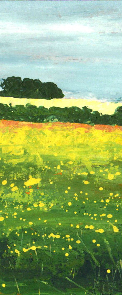 Fields of Gold by Geoffrey Dawson