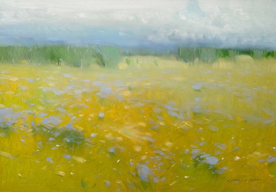 Summer Field