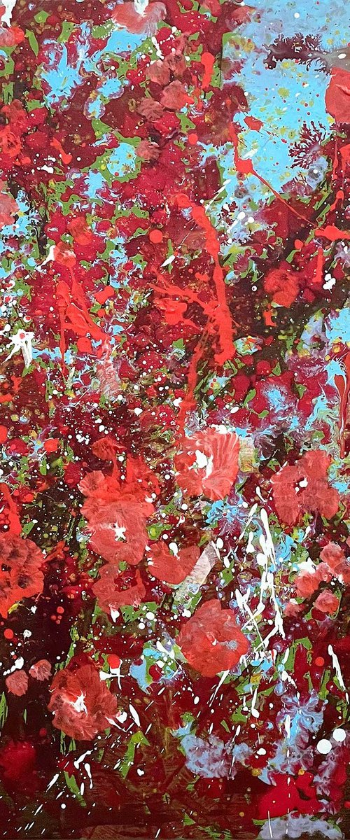 Scarlet shine by Dario Moschetta