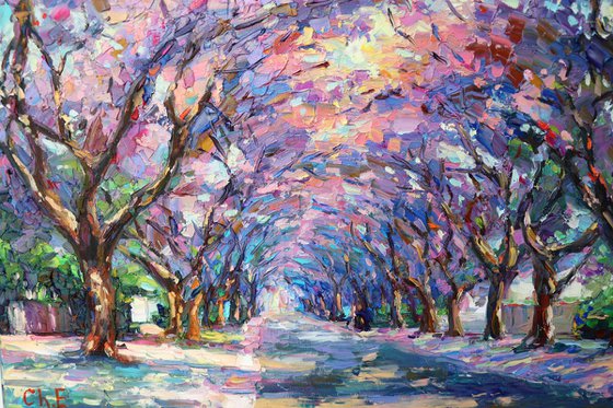 "Spring Park"