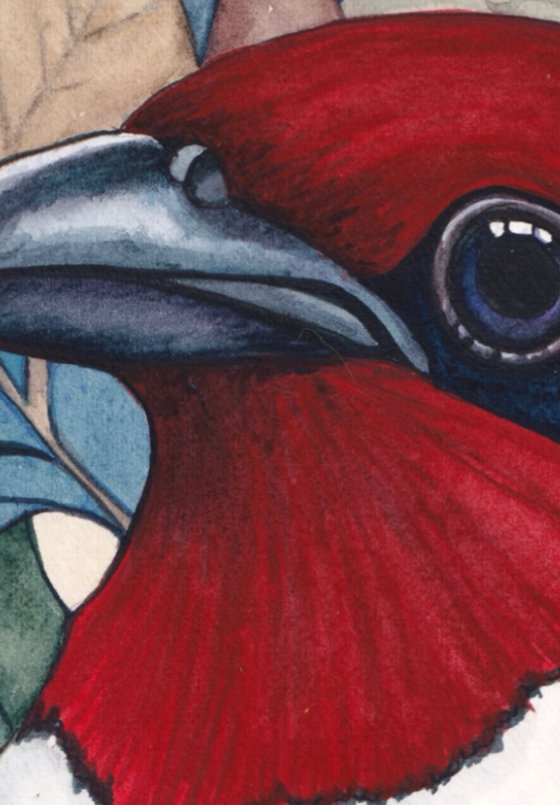 Crimson and Blue Headed Bird