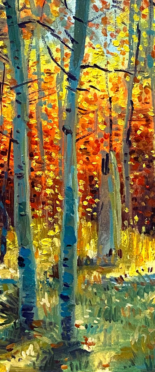 Fall Forest #10 by Paul Cheng