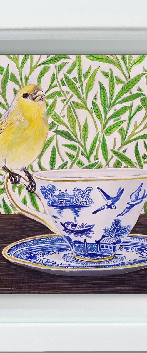 A Canary called Willow by Carolynne Coulson