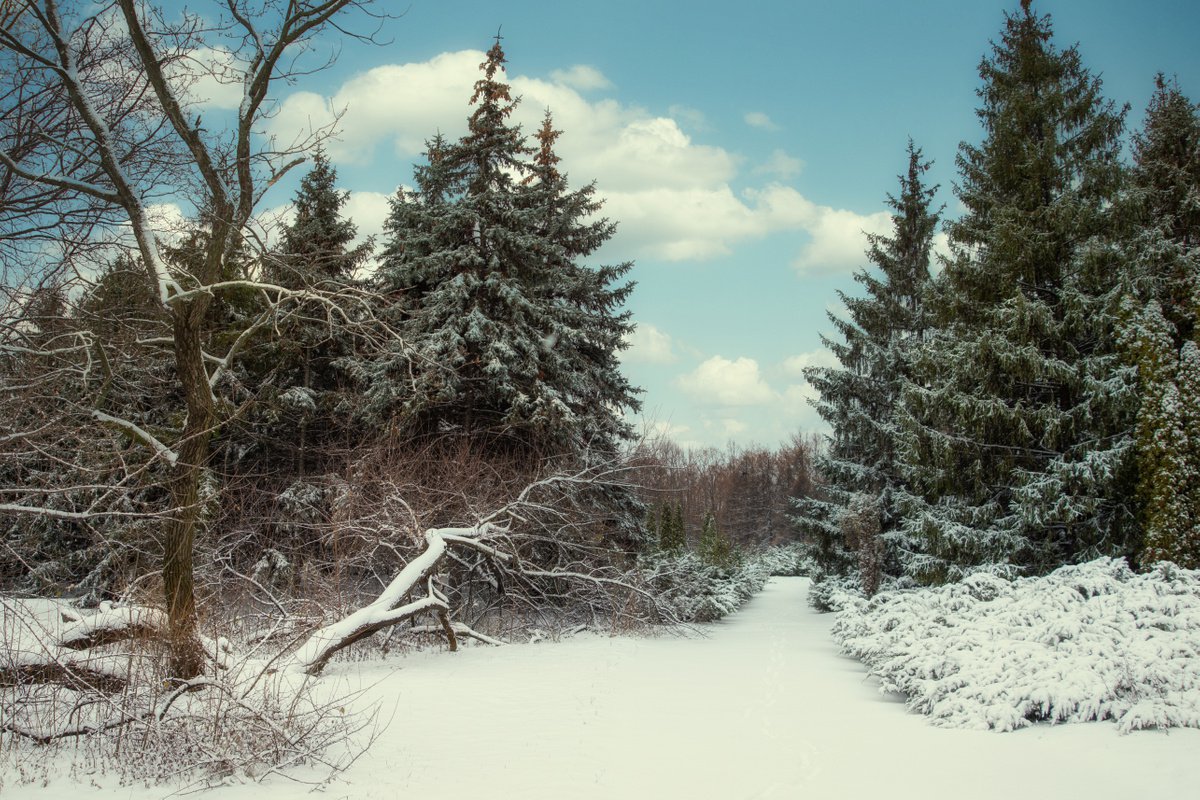 Goodbye winter by Vlad Durniev