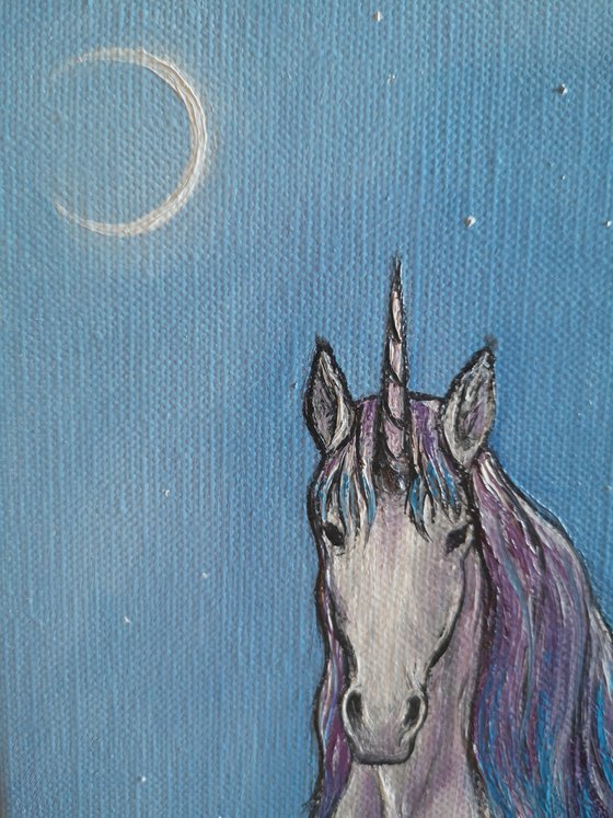The night unicorn