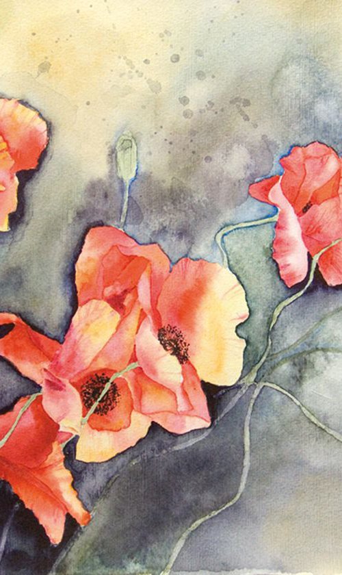 Poppies In The Wind by Anna Masiul-Gozdecka