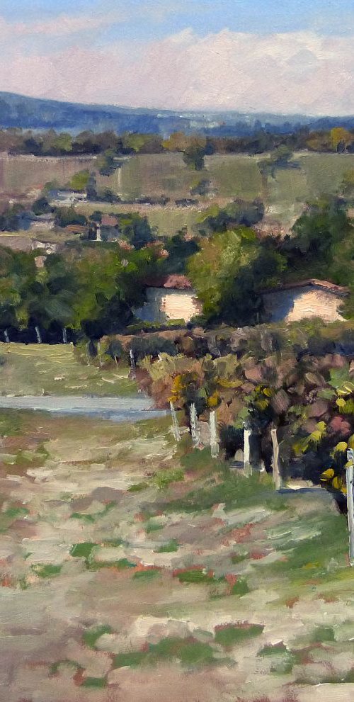 Vineyards in the Luberon by Pascal Giroud