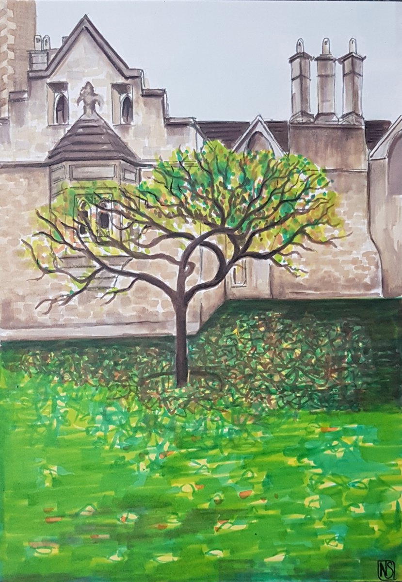 Newtons Apple Tree, Cambridge by Nina Shilling