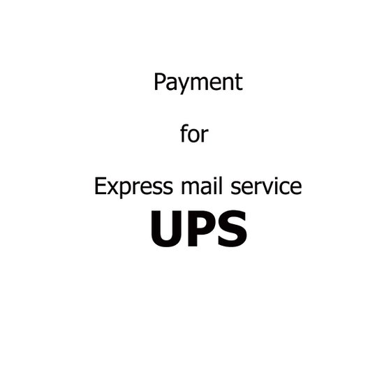 Express Mail Service - UPS