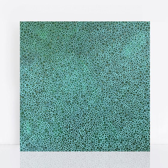 Variegated 21