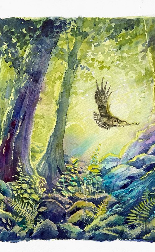 Forest with Tawny Owl by Karolina Kijak