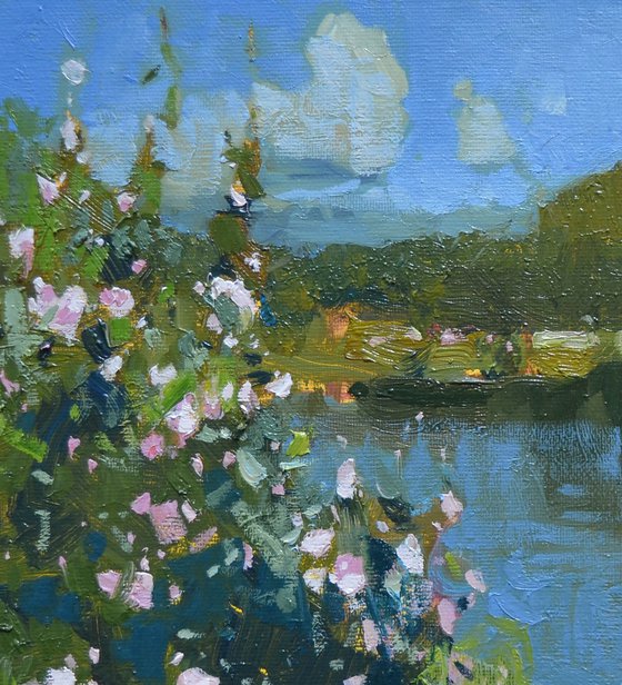 Blooming coast